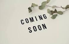 City Collection - AMSTERDAM - Belle Tress Wig - ETA 9/2025 PREORDER