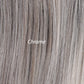 Bossa Nova - Retired Colors and style